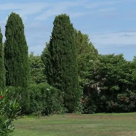 Apartment In Saint-tropez, With Wonderful Park View, Terrace, Pool Access Saint-Tropez